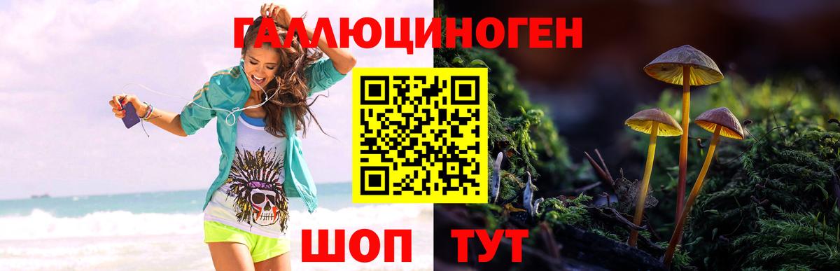 Псилоцибиновые грибы Cubensis Зима